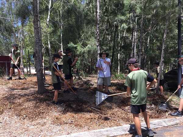 Environmental Activity